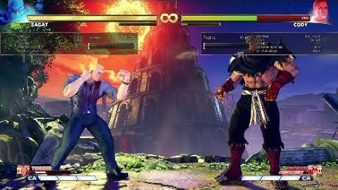 Sagat V-trigger1 Full Screen Combos