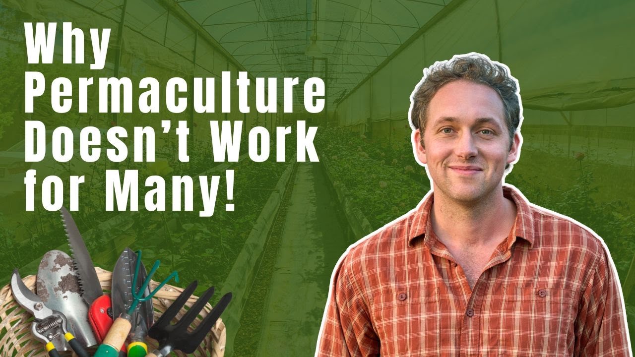 Struggling with Permaculture? Here’s How to Get It Right!