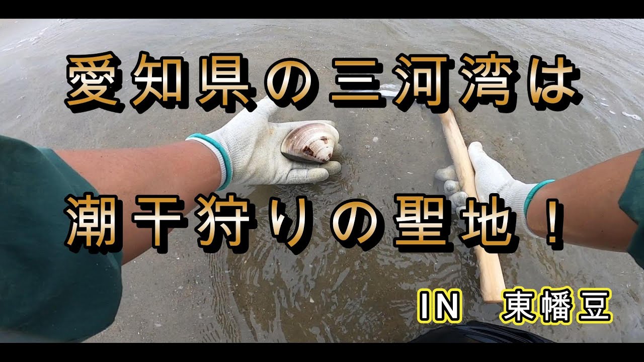東幡豆にて、今年最後のお宝探し！