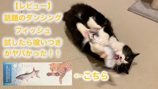 【驚愕】巷で話題のダンシングフィッシュを猫達に与えたら凄いことになった！！猫のおもちゃのレビューです。