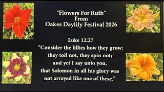 Flowers for Ruth Oakes Daylily Festival 2026