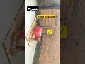 BEST workout for belly fat 🤸🤸 || #bodytransformation #shorts #fitness #plank #bellyfatloss #workout