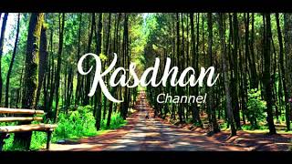 Download Lagu Lirick domikadomi MP3