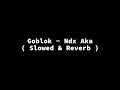 Goblok Ndx Aka Slowed Reverb Lirik