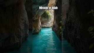 ✨Miracle#of❤Allah#in💯 Philistine👈💯✨🤲
