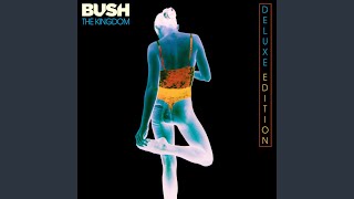 Watch Bush Beware False Prophets video