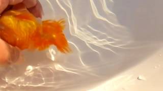 DSCF1426