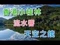 【香港好去處】流水響｜香港小桂林．天空之鏡．落羽松杉｜鶴藪水塘．八仙嶺郊野公園