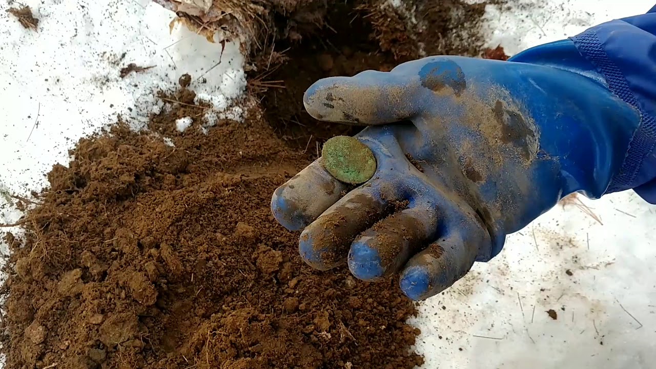 Ep15 First Hunt of 2020! Colonial NH Metal Detecting YouTube