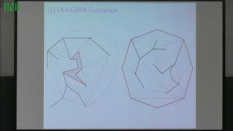 Mr. Joshua Pfeffer | External DLA on a spanning-tree-weighted random planar map