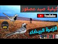 كيفية صيد عصفور الزعرة البيضاء أم مرطيز٢٠٢٢ كيفية صيد عصفور الزعرة البيضاء أم مرطيز٢٠٢٢