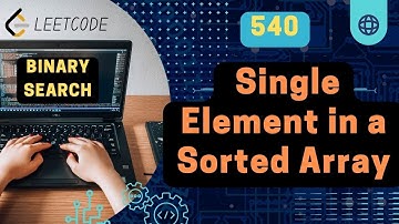 Single Element in a Sorted Array | Leetcode 540 | Binary Search | Daily Challenge