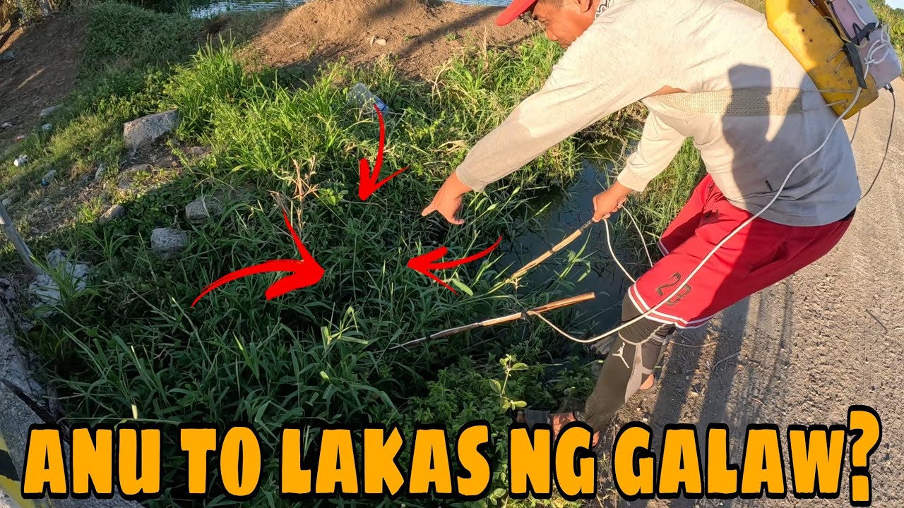 Napapasigaw kami bawat angat ng aming huli dahil sa mga naglalakihang nilalang?