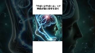 【足の痺れに関する雑学】正座で足が痺れる本当の理由 #shorts #雑学 #足のしびれ