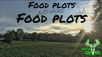 Planting Food Plots for Better Hunting  S7 #34