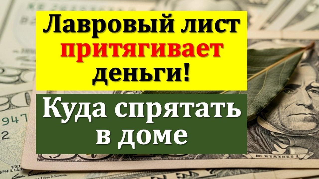 Древний ритуал: куда спрятать лавровый лист в доме, чтобы деньги никогда в нем не переводились