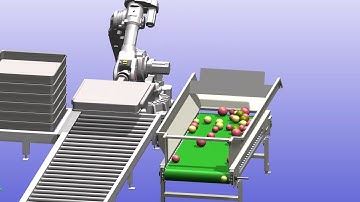Realtime360 Robotics Solution: Tray Destack and Dump