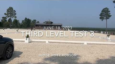 Third level test 3 with judges comments 67%