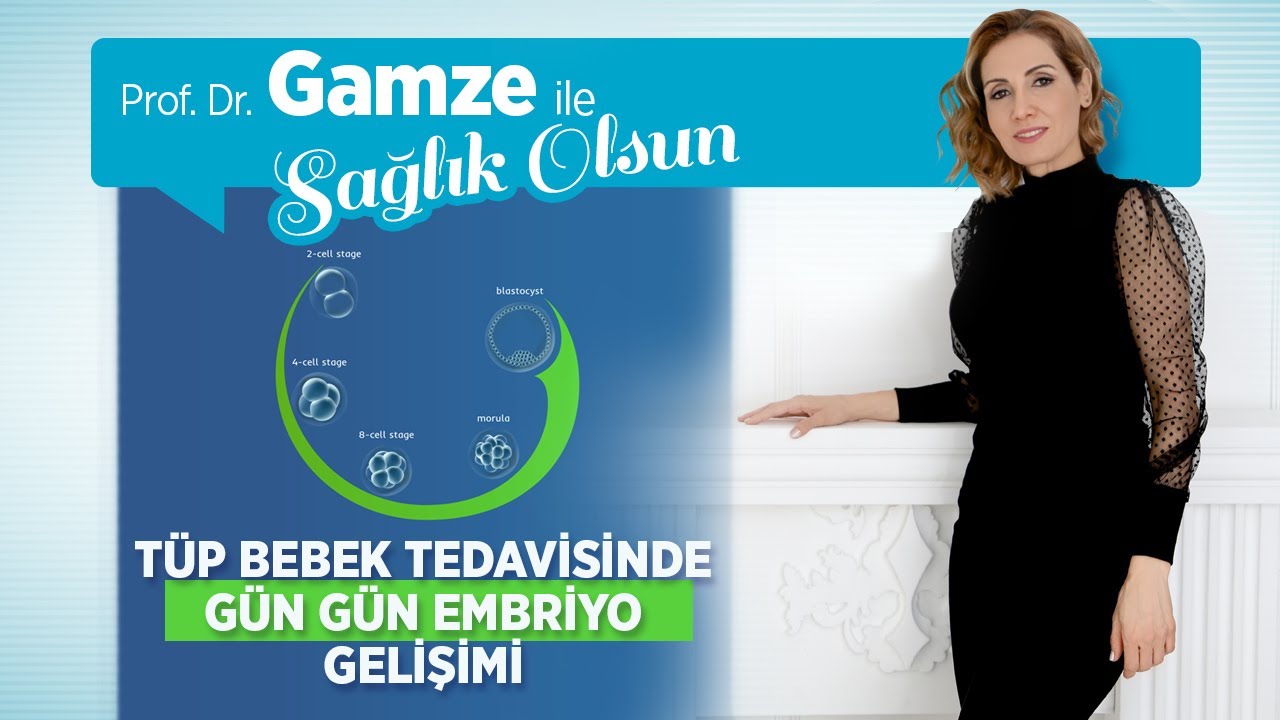 Embriyo Gelişiminin Yavaşlaması veya Durması Neden Olur? Gün Gün ...