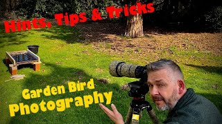 Bird Photography / Hints & Tips on how to make our garden birds look even more special/Nikon D500