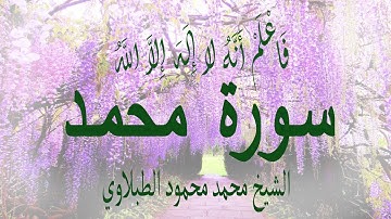 فَاعْلَمْ أَنَّهُ لا إِلَهَ إِلاَّ اللَّهُ | تلاوة خاشعة مبكية لسورة محمد بصوت الشيخ الطبلاوي