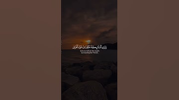 #أحمد_بن_طالب #سورة_الزمر #قرآن #قران_كريم #اكتب_شي_تؤجر_عليه #لايك #islamicvideo #quran