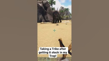 Taking a Trike After Getting it Stuck in My Trap!