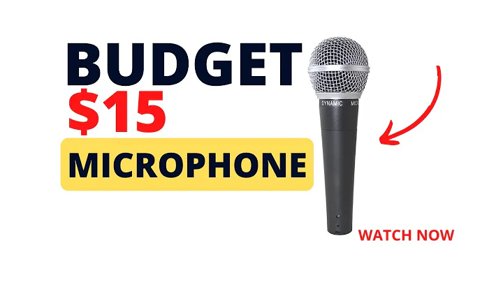 I Bought The Least Expensive Microphone I Could Find On Amazon*