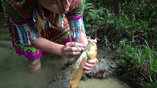 Survival Skills - Smart Girl Unique Fishing In Deep Hole And Meet Forest People