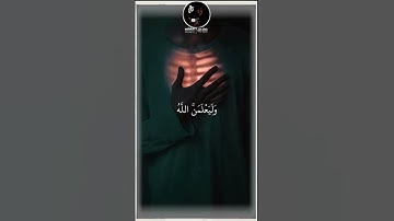 أوليس الله أعلم بما في صدور العالمين | عبد الرحمن مسعد | تلاوة