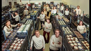 How This Dutch Startup Is Going To Disrupt The Supermarket Landscape