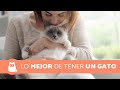 8 VENTAJAS de tener un GATO 🧡