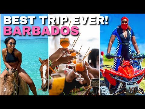 Video: Vrei să câștigi o excursie în Barbados, împreună cu un mic dejun gratuit garantat?