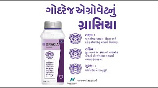 #Gracia - The Power of Proactive Protection | Gujarati screenshot 4