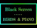 Instrumental Black Screen | Nature | Sleep Music with Dark Screen