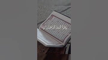 آيات خاشعة من سورة مريم #ماهر_المعيقلي #سورة_مريم #قرآن_كريم #انشر_تؤجر #سورة_مريم_ماهر_المعيقلي