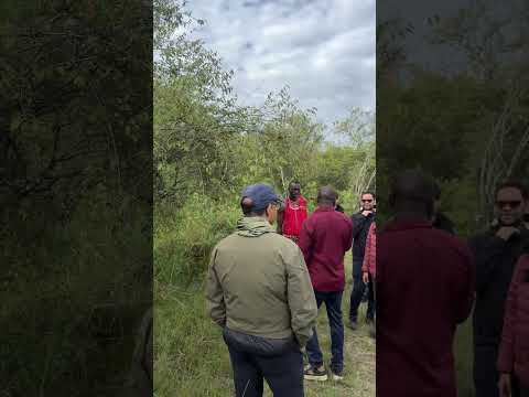Ilora Retreats short film — Experiences, Masai Mara