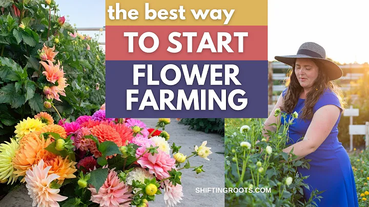 Wannabe Flower Farmer?  Here's the Best & Easiest Way to Get Started - DayDayNews