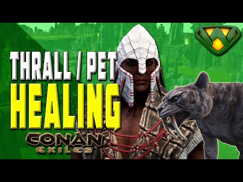 Thrall and Pet Healing | Conan Exiles 2020