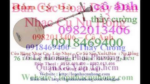 Đàn Nguyệt - Giá mua bán Đàn Nguyệt  | Nhạc Cụ nụ hồng , dan nguyet , đàn kìm , đàn sến