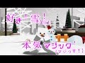 【MMD】「Minecraft?」劇場ダンス『好き！雪(俺)！本気マジック！(マジっす！)』