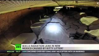Organic kitty litter led to nuclear waste accident