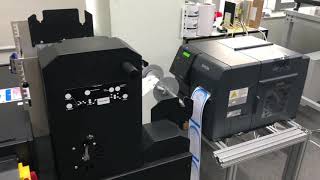 EPSON ColorWorks C7500 -- any-BLADE die-Cutter