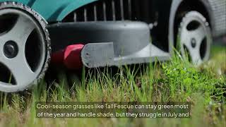 What is the most important factor in good lawn care in Charlottesville?LC Marshall And Sons