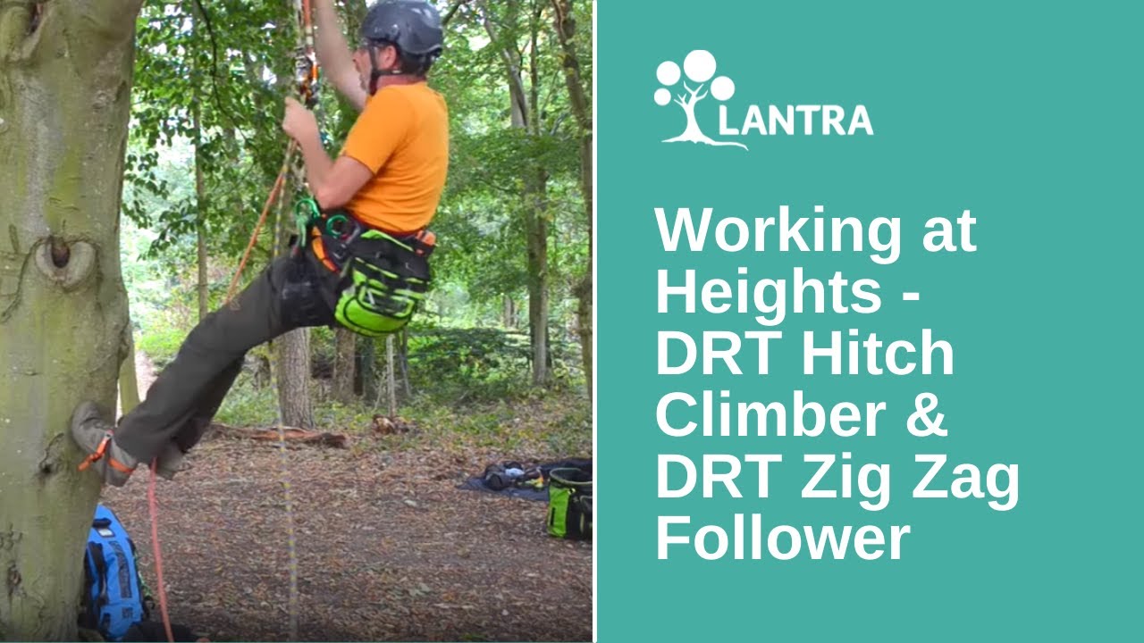 Working at Heights Compliance in Tree Climbing and Arb 7) DRT Hitch