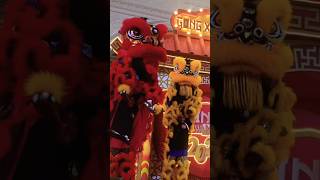 atraksi barongsai lion dance barongsai lion dance!!
