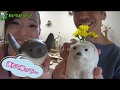 【おいでよ！ふくい】 ㉞ きっと恋する越前焼♡ ～可愛くて実用的な陶器～