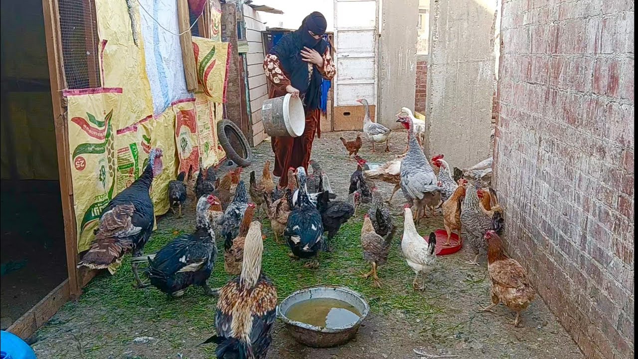 #معقول اللى شفته بعد كل الغياب ده 🥰🥰