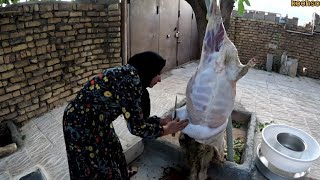 Butchering and slaughtering of sheep by Leila Banui/village