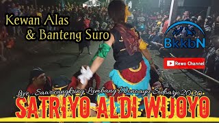 Terbaru Dj Pong Pong °Banteng Suro /SATRIYO ALDI WIJOYO/desa Sawocangkring Wonoayu Sidoarjo2020